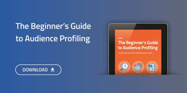 Download The Beginners Guide to Audience Profiling